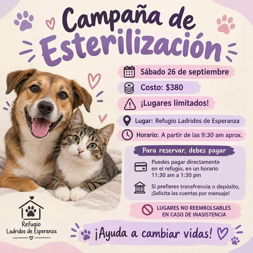Cartel de la campaña de esterilización del sábado 26 de septiembre